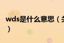 wds是什么意思（关于wds是什么意思的介绍）