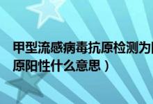 甲型流感病毒抗原检测为阳性是什么意思（甲型流感病毒抗原阳性什么意思）