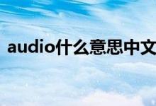 audio什么意思中文翻译（audio什么意思）