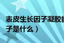 表皮生长因子凝胶能淡化疤痕吗（表皮生长因子是什么）