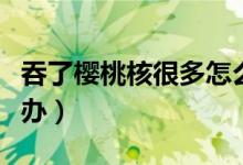 吞了樱桃核很多怎么排出来（吞了樱桃核怎么办）