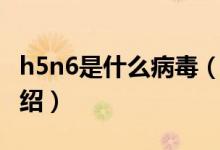 h5n6是什么病毒（关于h5n6是什么病毒的介绍）