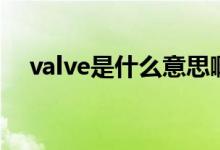 valve是什么意思啊（valve是什么意思）