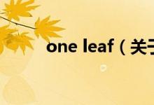 one leaf（关于one leaf的介绍）