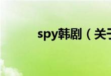 spy韩剧（关于spy韩剧的介绍）