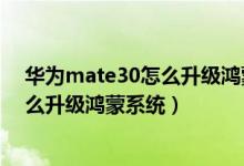 华为mate30怎么升级鸿蒙系统没有指纹（华为mate30怎么升级鸿蒙系统）