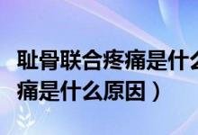 耻骨联合疼痛是什么原因造成的（耻骨联合疼痛是什么原因）