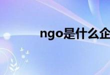 ngo是什么企业（ngo是什么）