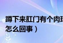 蹲下来肛门有个肉球怎么回事（肛门有个肉球怎么回事）