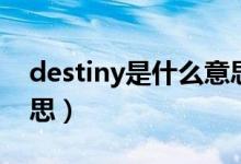 destiny是什么意思翻译（destiny是什么意思）