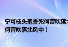 宁可枝头抱香死何曾吹落北风中什么意思（宁可枝头抱香死 何曾吹落北风中）